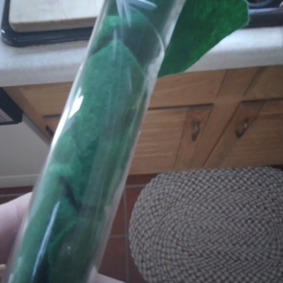 Vase, Flower, Vintage, Etched, Footed - Picture 5 of 9